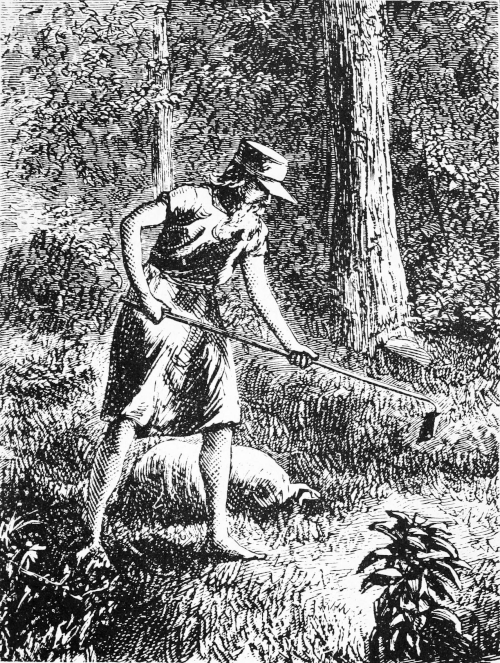 Johnny Appleseed